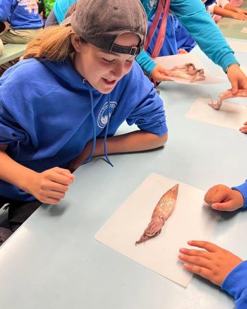 Image Camp Sea Lab Field Trip