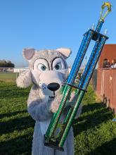Wolf Mascot
