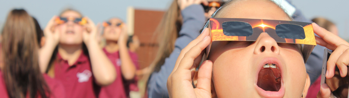 Header image for Search